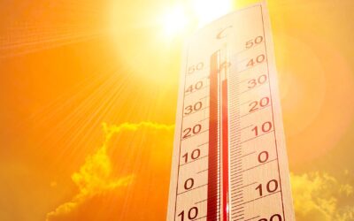 Este verano, el Servicio de Empleo FEMM mantiene la atención online y telefónica ante el calor extremo